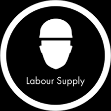 Labour Supply